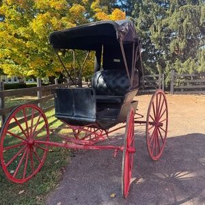 Vintage real horse carriage